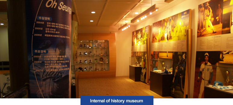 Internal of history museum - Majoy career